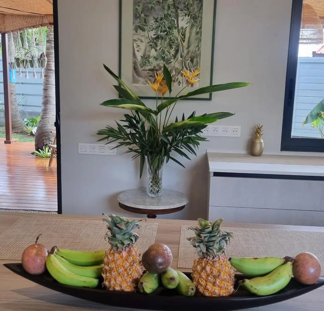 Raahere Lodge - Near The City Center Papeete  Villa Papeete (Tahiti)